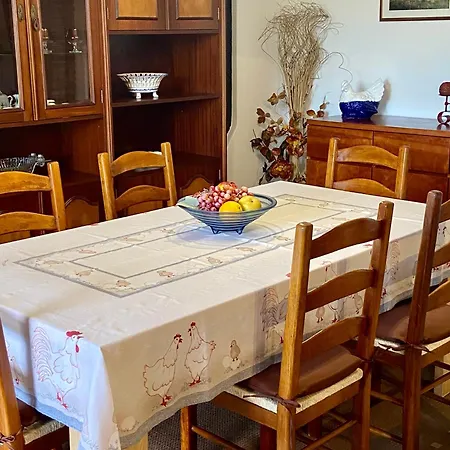 Vivenda Silvestre Villa *